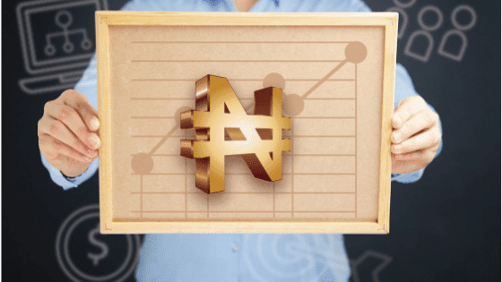 Naijafund post image