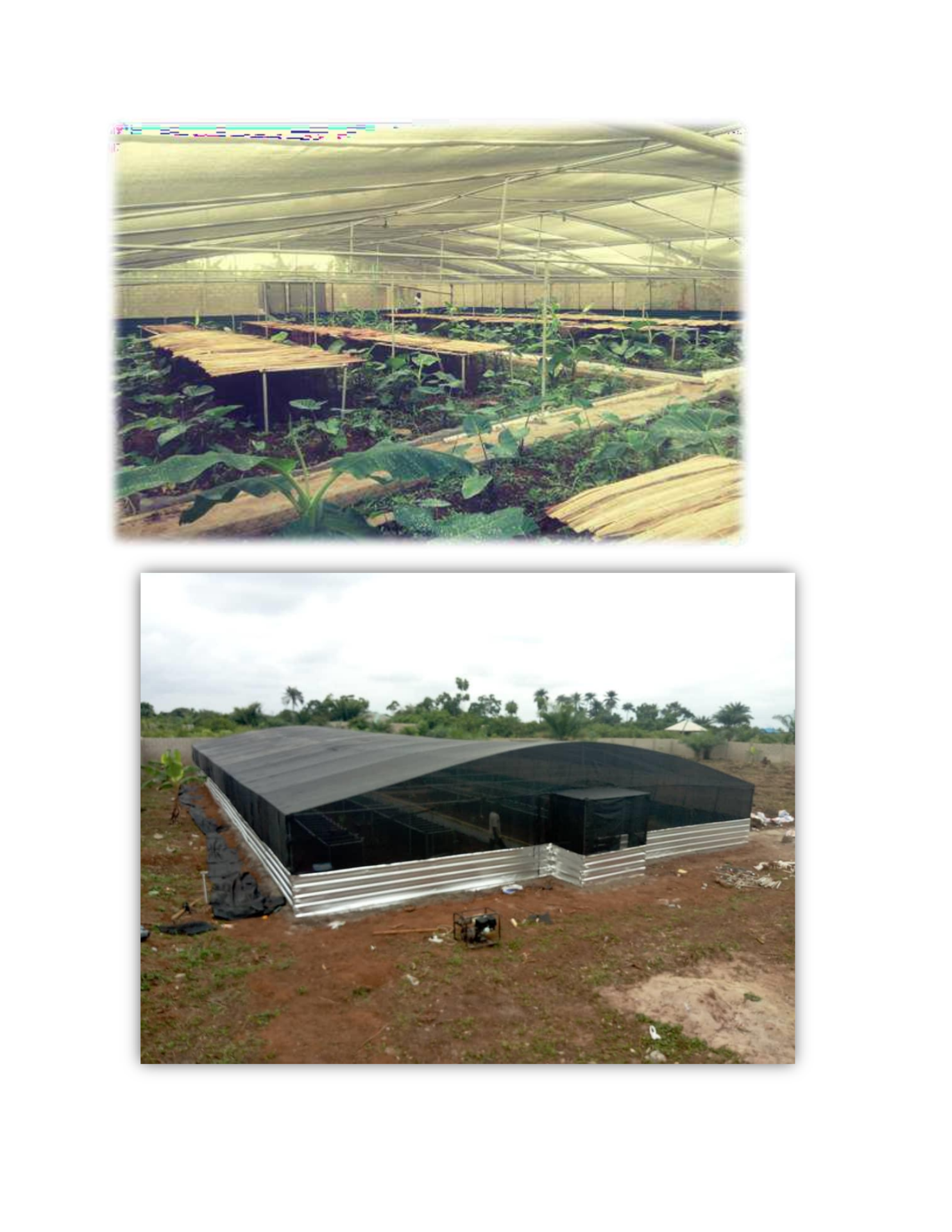 snail builder for Michael One_06