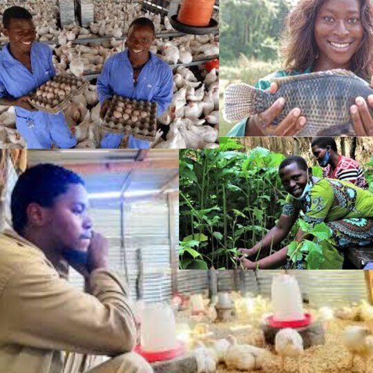 rsz_young_farmers_empowerment_project